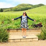 12298987_446394438900875_739126802_a