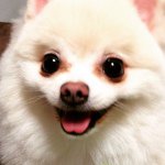 11352900_844191672296672_797406457_a