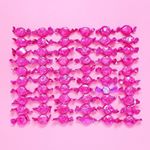 11363669_693427054120876_306048255_a