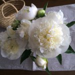 11351555_1440911962880862_1503263722_a