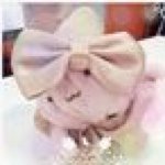 11849887_343888249113457_177236559_a