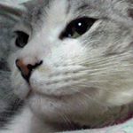 10683841_952743841460117_1989149574_a