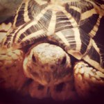 11875497_1639147789660482_1781580896_a