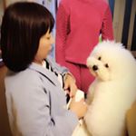 12301402_1689397924634313_1204691976_a