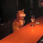 11881746_707843186014858_1376301229_a