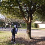 11049159_1077779835571480_1570122727_a