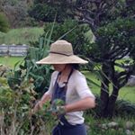 10691884_1652470338370361_2115033224_a