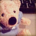 12393764_595248237294521_1347620897_a