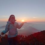 11246081_849815521777014_353704028_a