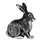 11856767_1490694311252829_1435244327_a