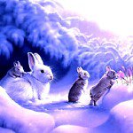 11311173_849012201843123_866127499_a