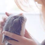 12142422_1492932377668879_1716404490_a