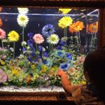 11820644_716372715173156_1780742020_a