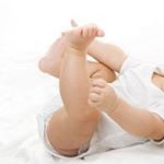 11950708_1618993288350562_1728502898_a