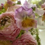 11326272_425830817599616_1386398445_a