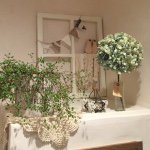 11821209_1465158687126507_2037453411_a