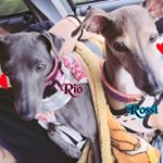 11371124_390846697791275_260191864_a