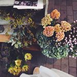 11356641_793981470748698_642994401_a