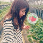 11049430_1589719514638813_2065537082_a