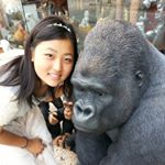 11347825_585590991580862_557229789_a