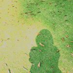 12120275_1617510618509792_1911857130_a