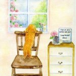 11199640_1589146168025611_1321890268_a