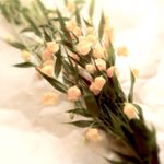 12231023_912719365484161_88226677_a