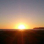 10787855_696648253766144_1119134051_a