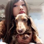 12135456_899812843407943_1499549000_a