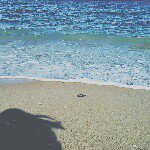 10895348_791132830940949_1011689366_a