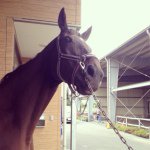 10725021_520988844703707_1011833595_a