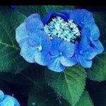 891513_816932455003929_1215099216_a