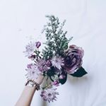 12277652_880887062025273_568047985_a