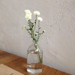 10401703_237620953099583_422833660_a