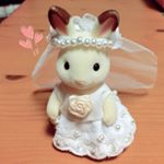 11856638_1623181101278453_314436748_a