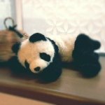 11351764_1676300982588947_1801015740_a