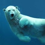 12331756_834166366692243_679367316_a