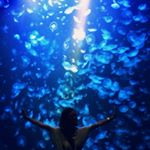 11950515_893085704073191_998707774_a