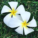 12357613_1647986735450532_928530101_a