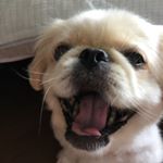 10513980_749965848446035_507545263_a