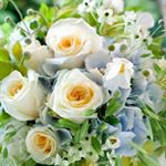 11364014_1613777942221186_1756164634_a