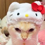 12357532_531425430366514_1293533255_a