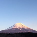 1598768_1548682412056628_143028499_a