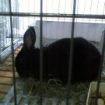 11849300_401214580079799_666184171_a