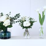 926163_527125140794826_771303075_a