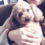 12317856_1014861911868430_1102433181_a