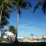 11428269_1471290576525895_55157966_a