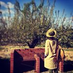 12142091_1696991517198828_1469732367_a