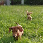 10859948_678651645565632_1741943536_a