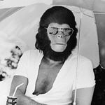 1170247_1129834023702583_1780365424_a